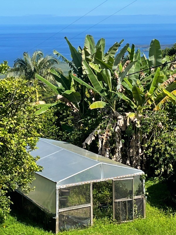 84-1226 Bruner Road Captain Cook, HI 96704 - Photo 2 of 8 a view of a house with a yard