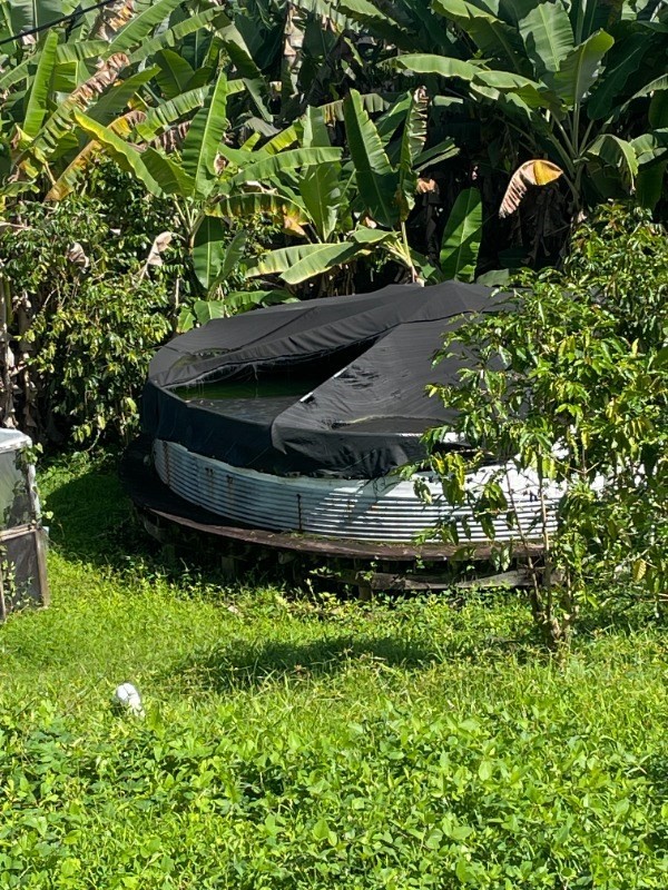 84-1226 Bruner Road Captain Cook, HI 96704 - Photo 6 of 8 a view of a garden with a bench in a garden