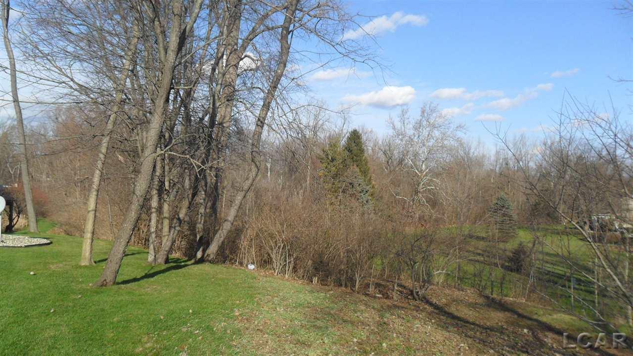 4234 Evergreen Road Adrian, MI 49221 - Photo 8 of 27 31309251-7.JPG