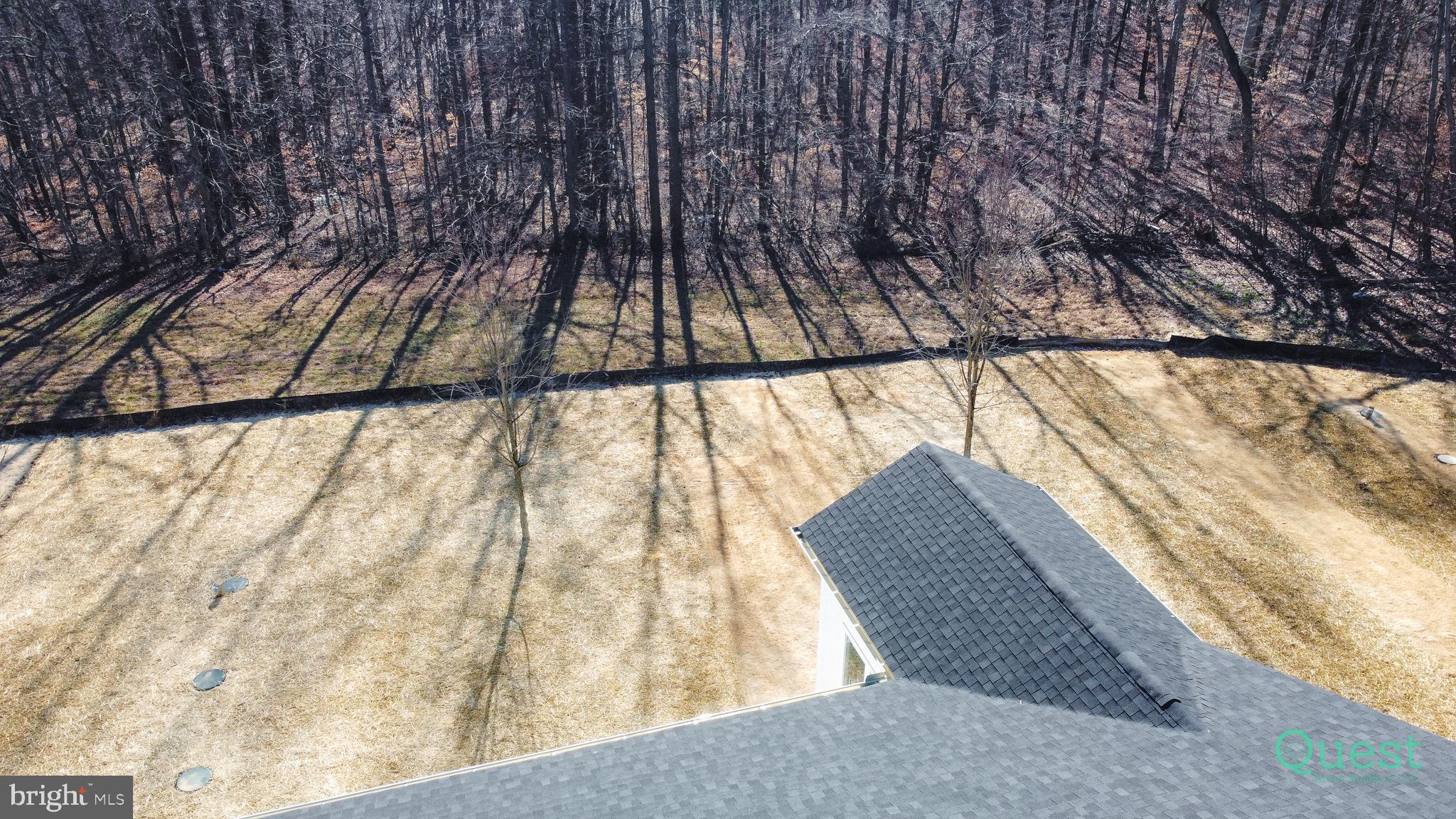 60 Patrick Ward Drive Rising Sun, MD 21911 - Photo 3 of 57 Back yard views