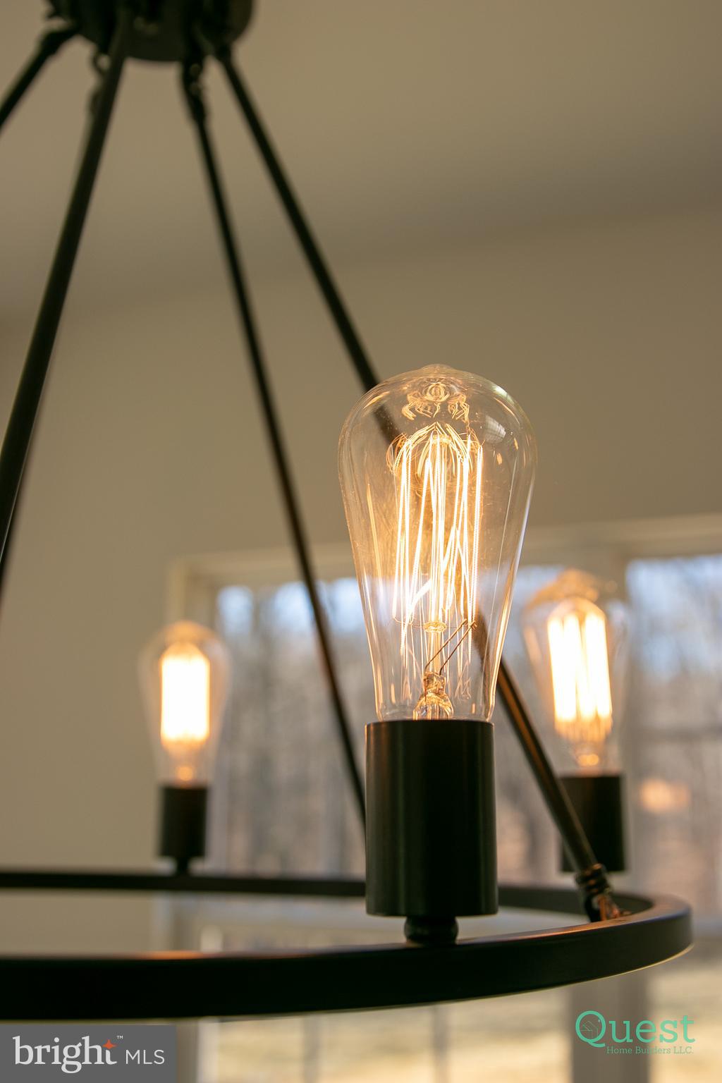 60 Patrick Ward Drive Rising Sun, MD 21911 - Photo 50 of 57 Upgraded light fixtures throughout
