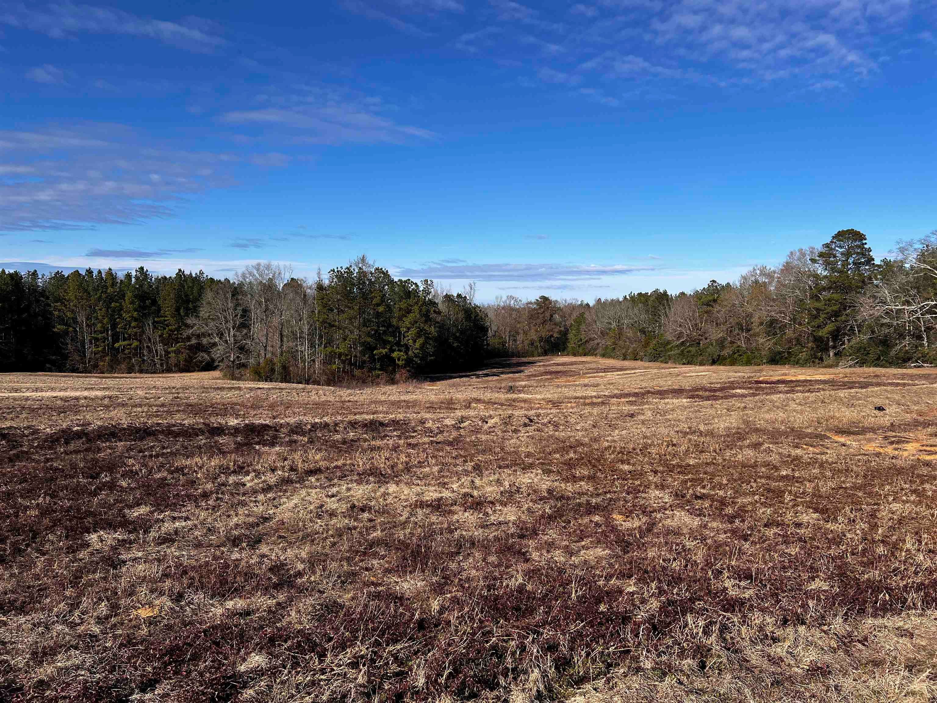 0 Co Road McKenzie, AL 36456 - Photo 13 of 16 Gallery Image 13
