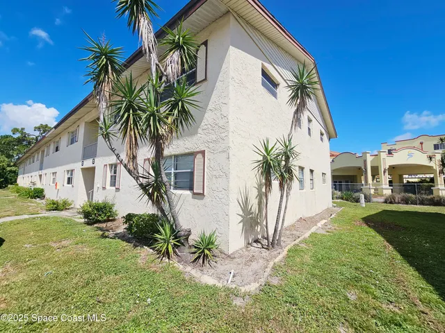 a palm tree sitting in front of a house with a yard