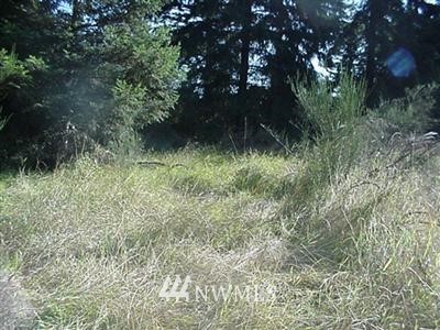 -xxx Cook Road Southeast Yelm, WA 98597 - Photo 1 of 1 Gallery Image 1