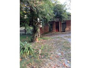 1520 Flea Ridge Road Mohawk, TN 37810 - Photo 10 of 24 Photo 10