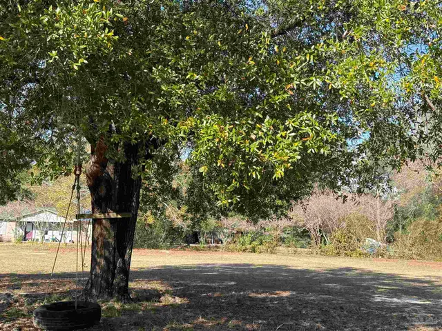 a view of a yard with a tree