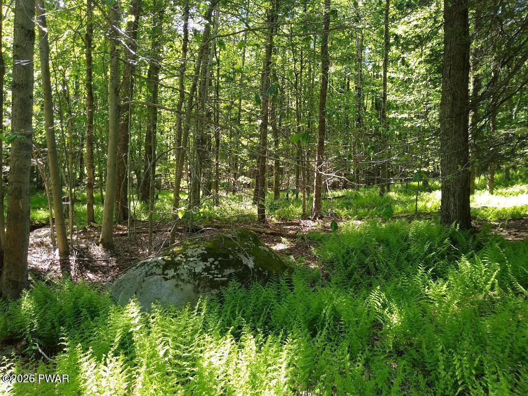 Creek Road Hawley, PA 18428 - Photo 1 of 13
