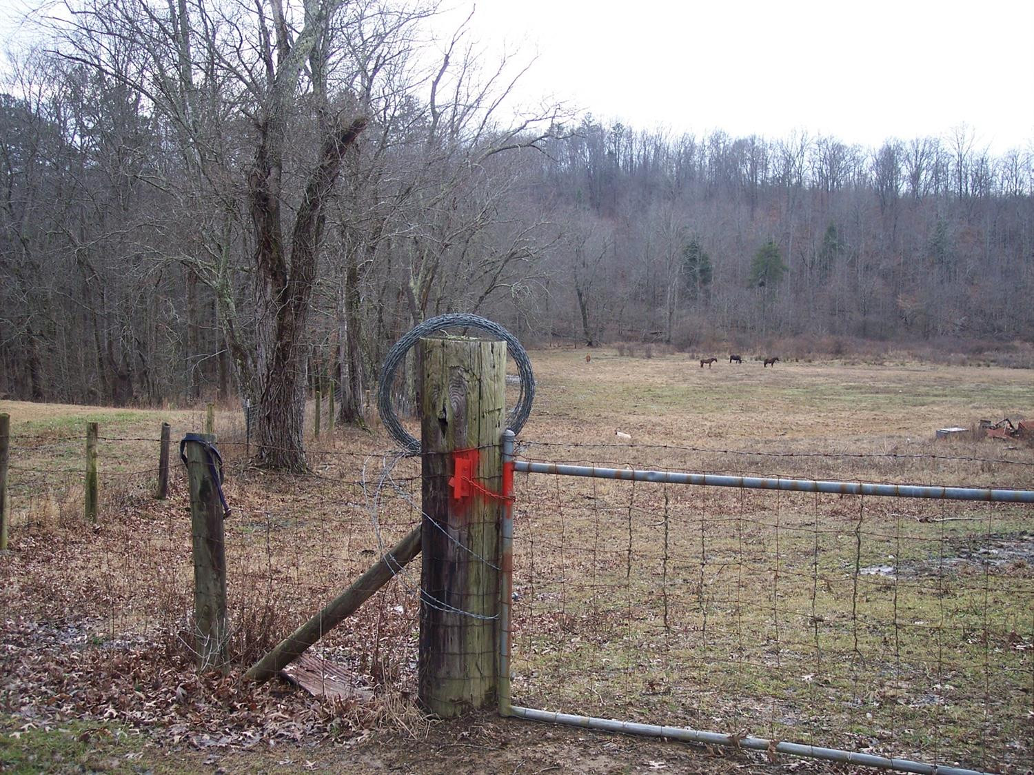 123 Little Spruce Creek Road Corbin, KY 40701 - Photo 2 of 3 Photo 2