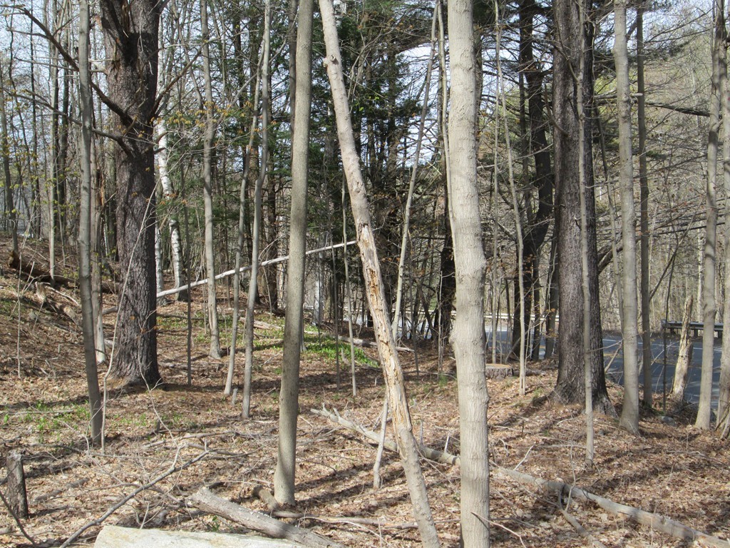 Lot State Lot State Road Westminster, MA 01473 - Photo 1 of 3 Gallery Image 1