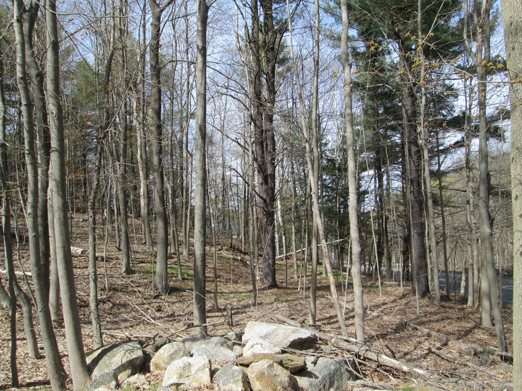 Lot State Lot State Road Westminster, MA 01473 - Photo 3 of 3 Gallery Image 3