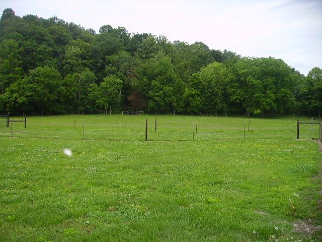 1909 Galen Road Lafayette, TN 37083 - Photo 14 of 17 Nice Open Pastureland, Fenced and Cross- Fenced.