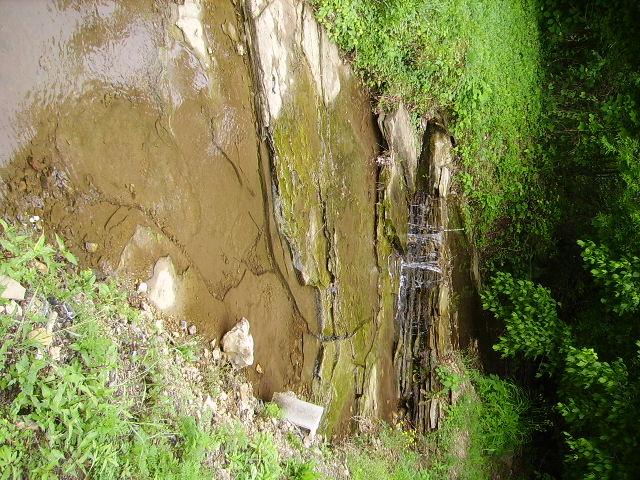 1909 Galen Road Lafayette, TN 37083 - Photo 15 of 17 Nice Stream