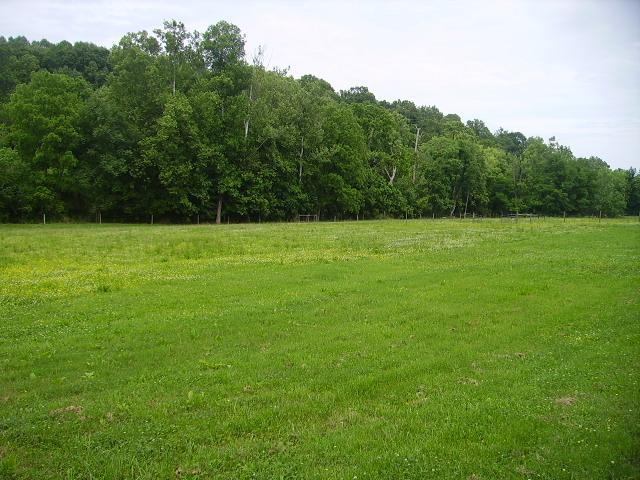1909 Galen Road Lafayette, TN 37083 - Photo 17 of 17 Beautiful Pastureland, Good Grass for Grazing Cattle, Horses or Other Livestock.