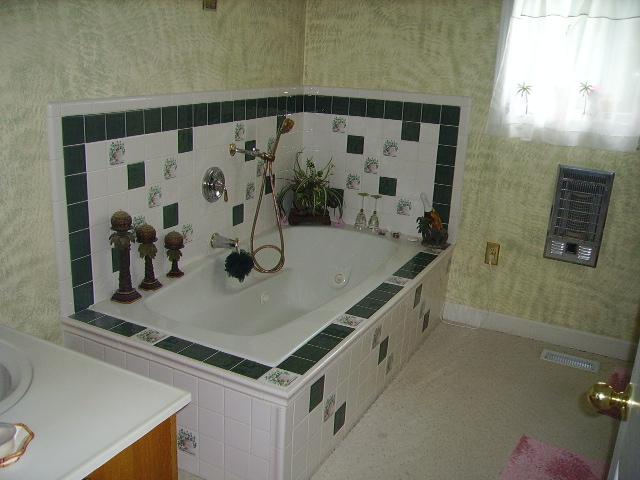 1909 Galen Road Lafayette, TN 37083 - Photo 6 of 17 Jacuzzi Tub in Master Bath