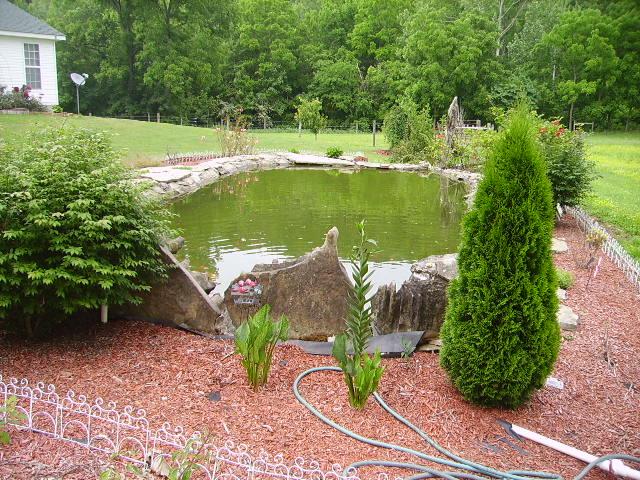 1909 Galen Road Lafayette, TN 37083 - Photo 10 of 17 "Cute as a Button" Well maintained Fish Pond