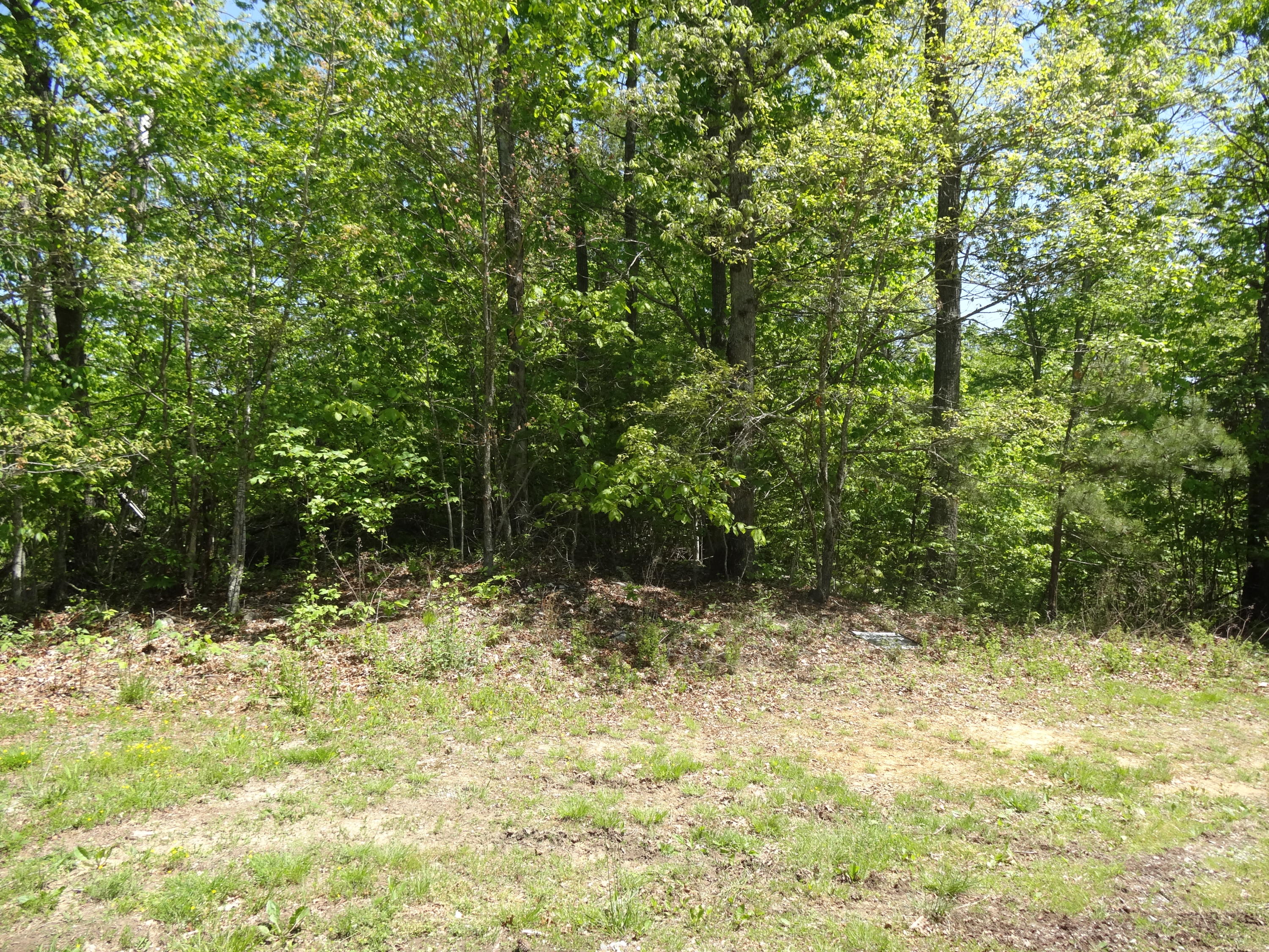 Lot 21 Anthony Ridge Road Frankford, WV 24938 - Photo 7 of 26 Gallery Image 7