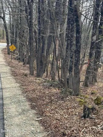 $65,000 | 0 George Schnopp Road, Hinsdale, MA 01235