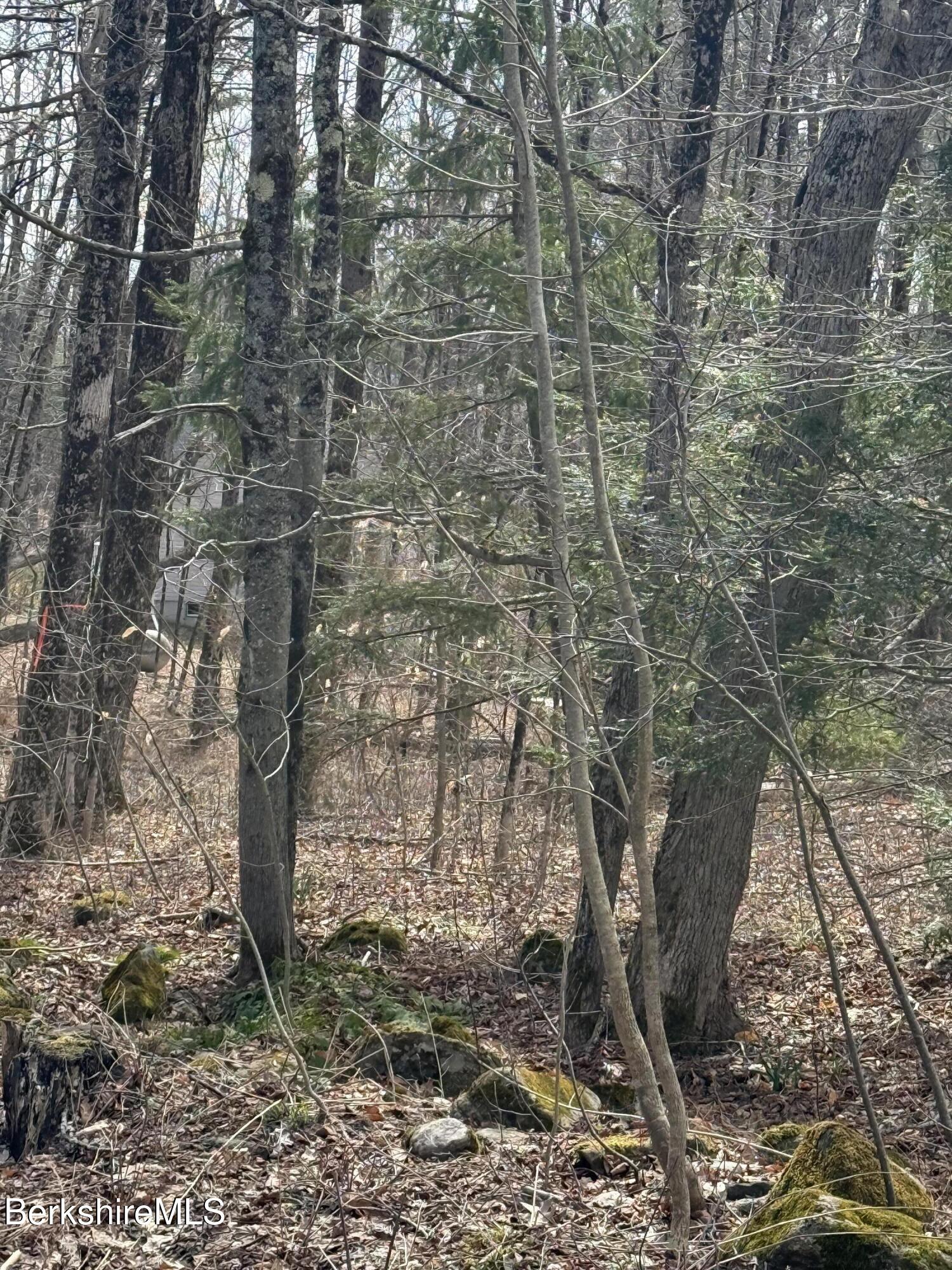 0 George Schnopp Road Hinsdale, MA 01235 - Photo 2 of 4 IMG_3744