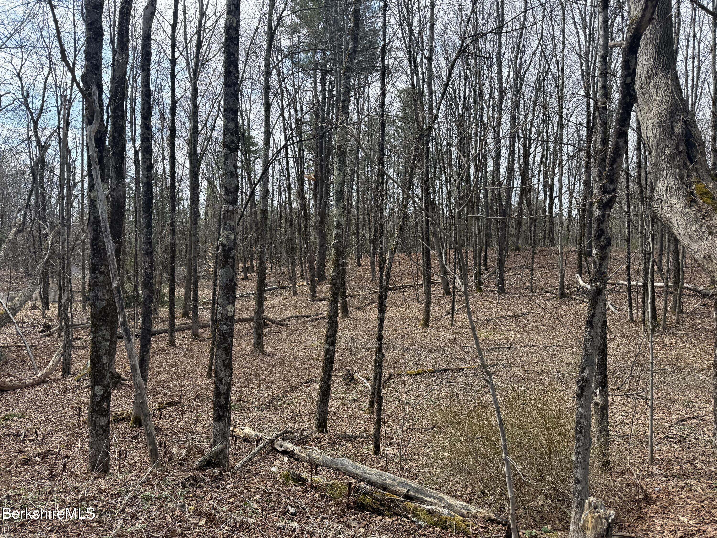 0 George Schnopp Road Hinsdale, MA 01235 - Photo 4 of 4 IMG_3747