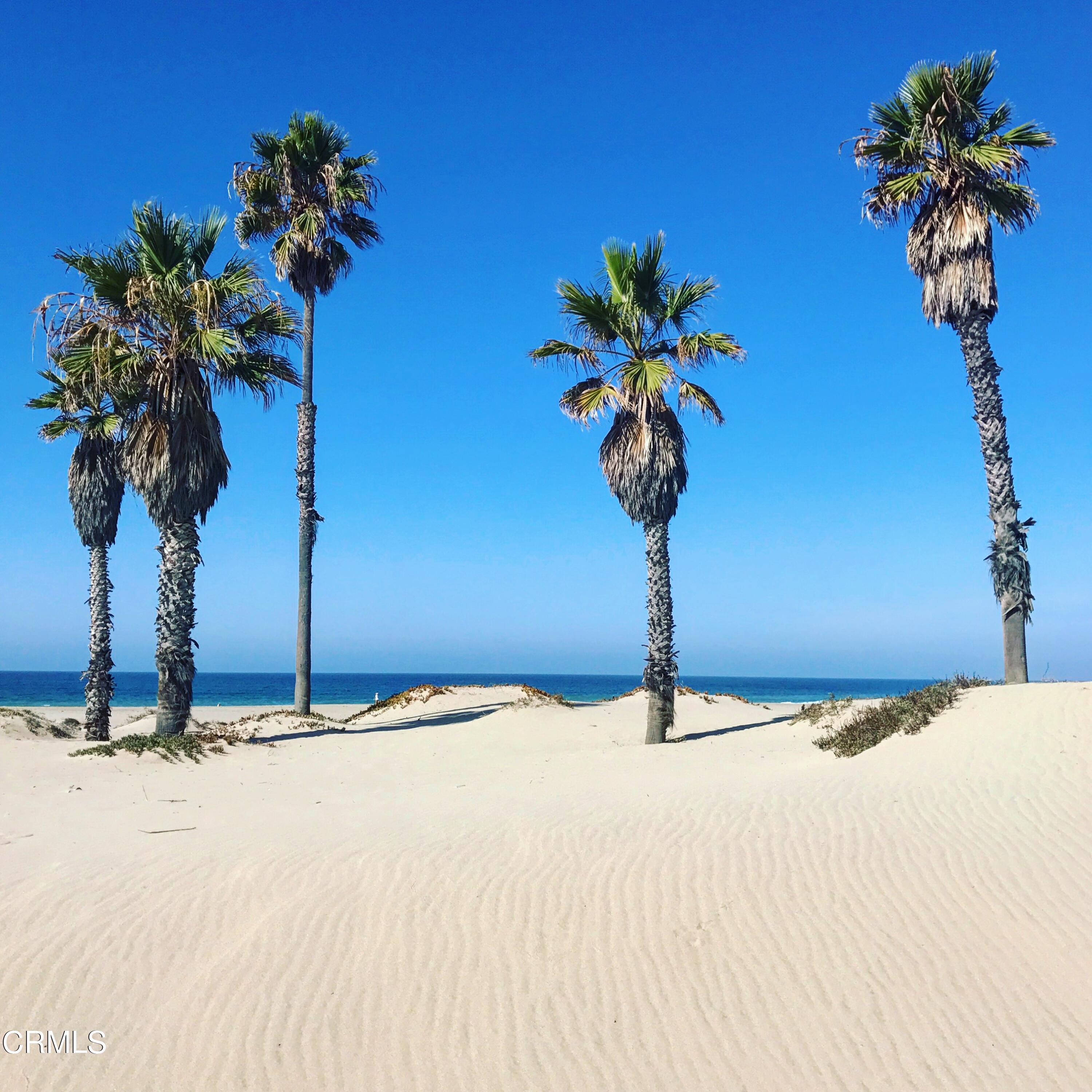 1031 Dunes Street, Unit D Oxnard, CA 93035 - Photo 25 of 26 a vase of flowers sitting on a table