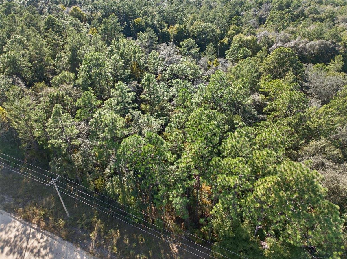 View of property location with a heavily wooded area