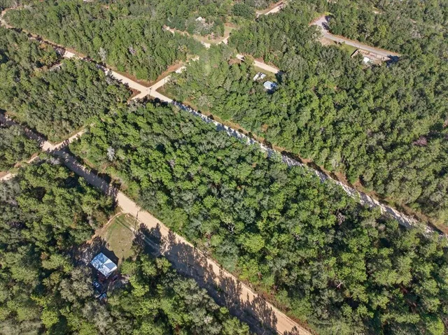a view of a lush green forest with lots of trees