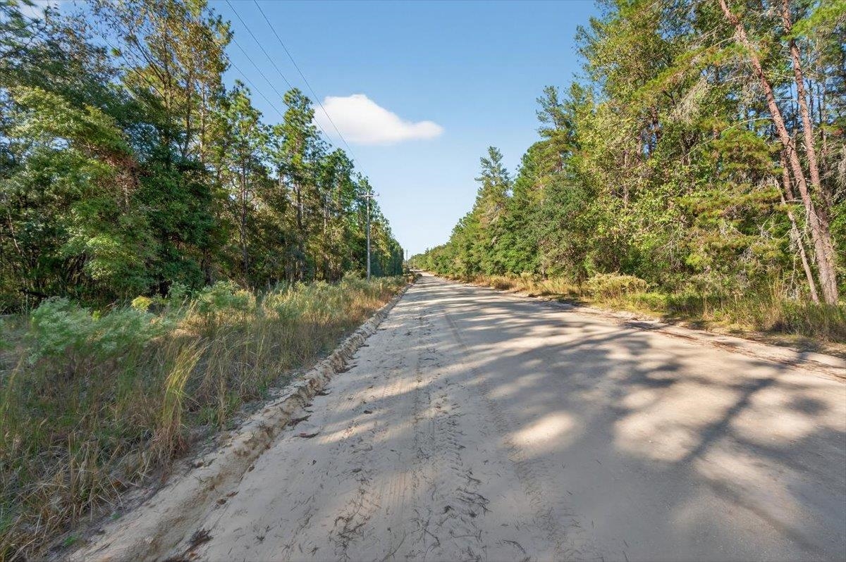 Usina Avenue Interlachen, FL 32148 - Photo 11 of 34 View of street with a view of trees