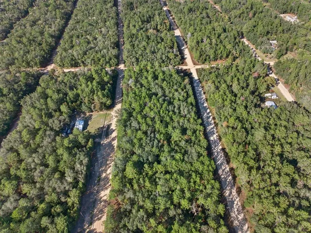 a picture of street with a tree