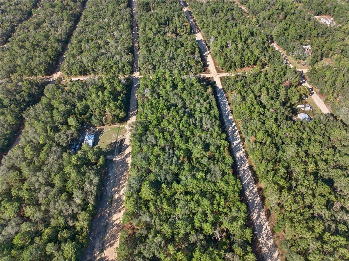 Usina Avenue Interlachen, FL 32148 - Photo 12 of 34 a picture of street with a tree