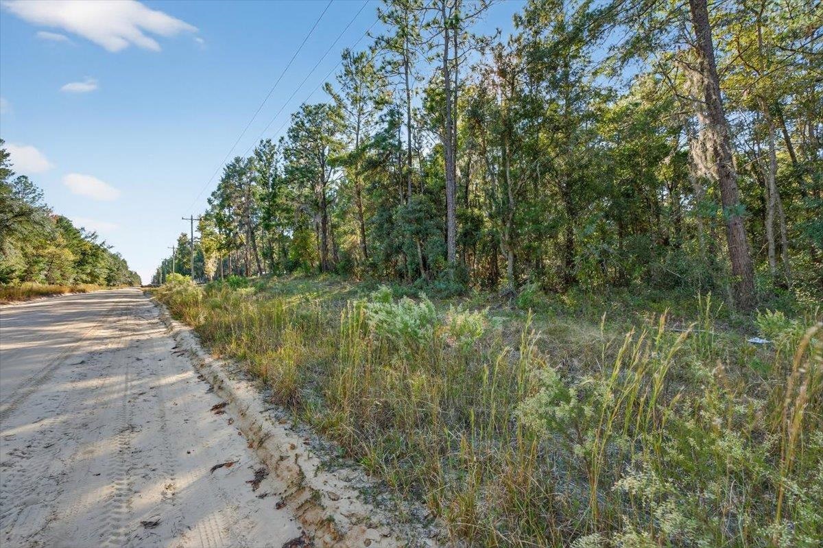 Usina Avenue Interlachen, FL 32148 - Photo 13 of 34 View of dirt / gravel road featuring a wooded view