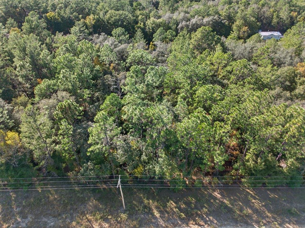 Usina Avenue Interlachen, FL 32148 - Photo 14 of 34 a view of a lake view