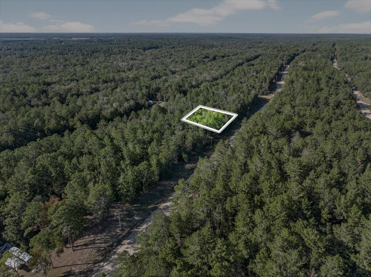 Usina Avenue Interlachen, FL 32148 - Photo 15 of 34 Aerial view of property's location featuring a forest and property boundaries highlighted