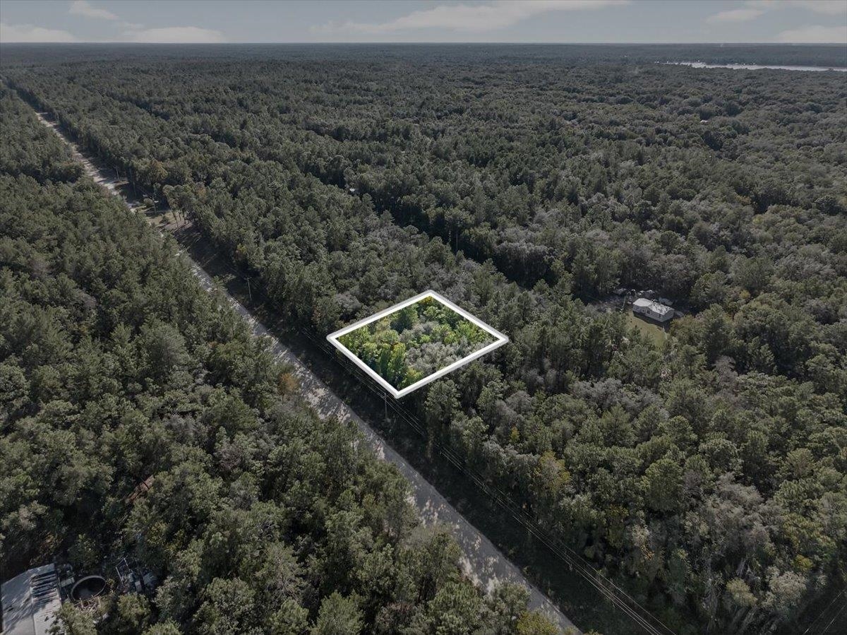 Usina Avenue Interlachen, FL 32148 - Photo 16 of 34 Aerial view of property's location featuring a heavily wooded area and property boundaries highlighted