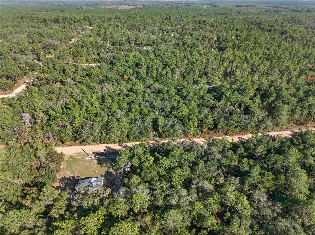 Usina Avenue Interlachen, FL 32148 - Photo 17 of 34 Aerial view of property and surrounding area with a forest