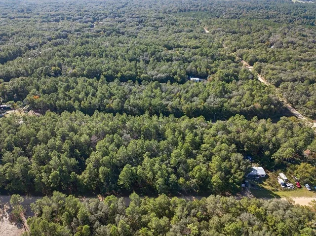 a view of a green field with lots of bushes