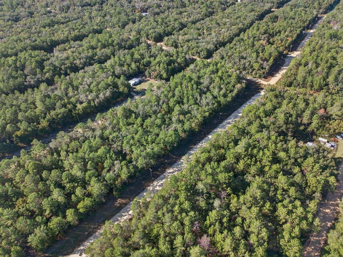 Usina Avenue Interlachen, FL 32148 - Photo 21 of 34 Aerial overview of property's location featuring a forest