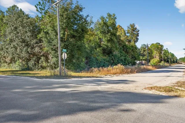 a view of a yard with a tree