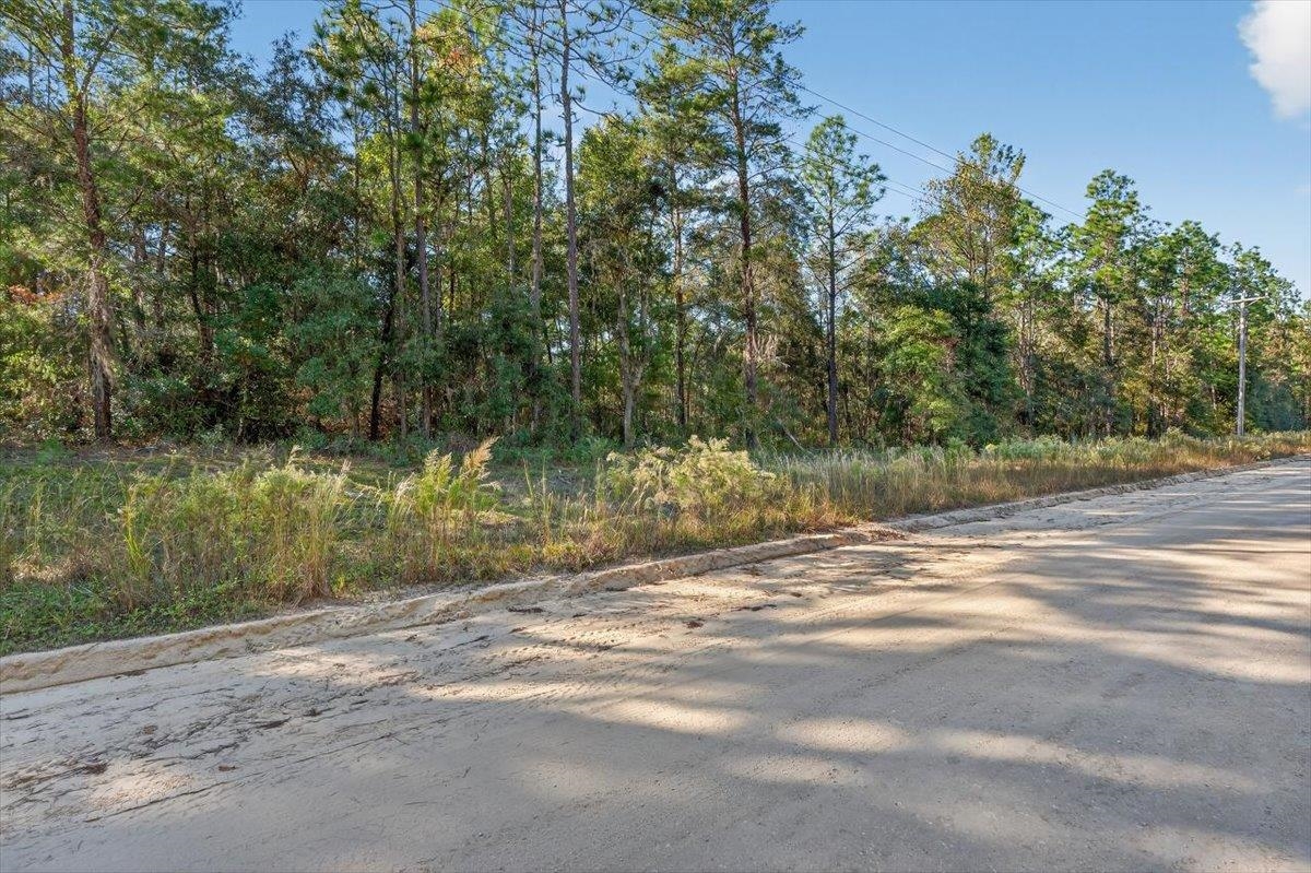 Usina Avenue Interlachen, FL 32148 - Photo 23 of 34 a view of a yard with a tree