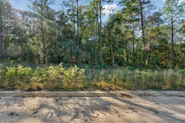 a view of outdoor space and trees