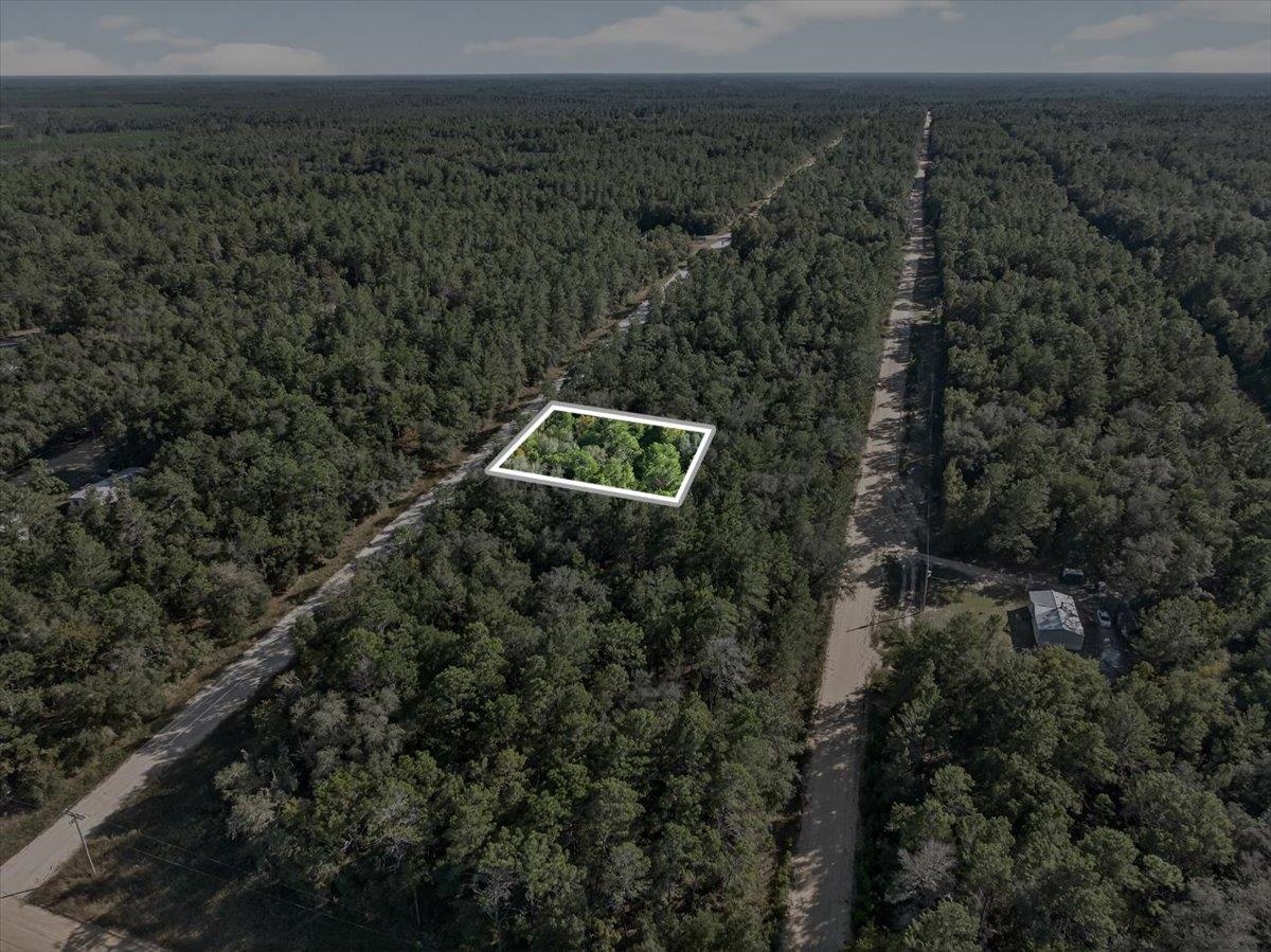 Usina Avenue Interlachen, FL 32148 - Photo 24 of 34 View of property location featuring a heavily wooded area and property boundaries highlighted