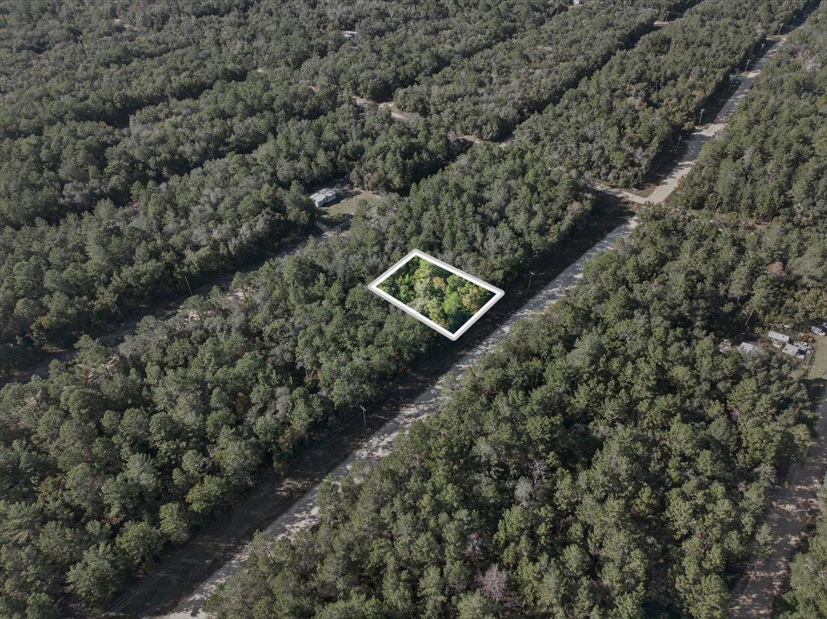 Usina Avenue Interlachen, FL 32148 - Photo 26 of 34 View of property location featuring a heavily wooded area and property boundaries highlighted