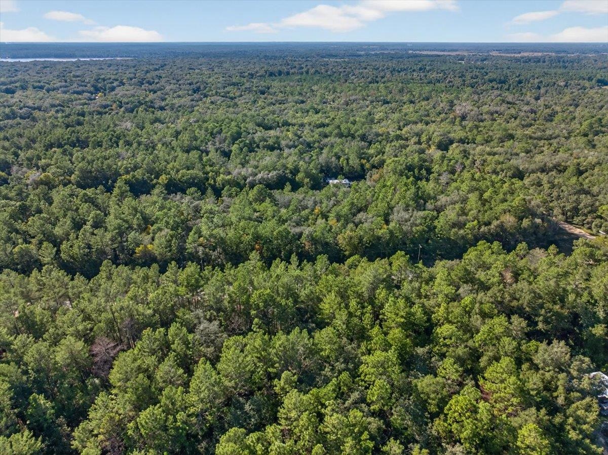 Usina Avenue Interlachen, FL 32148 - Photo 29 of 34 Aerial view of property's location