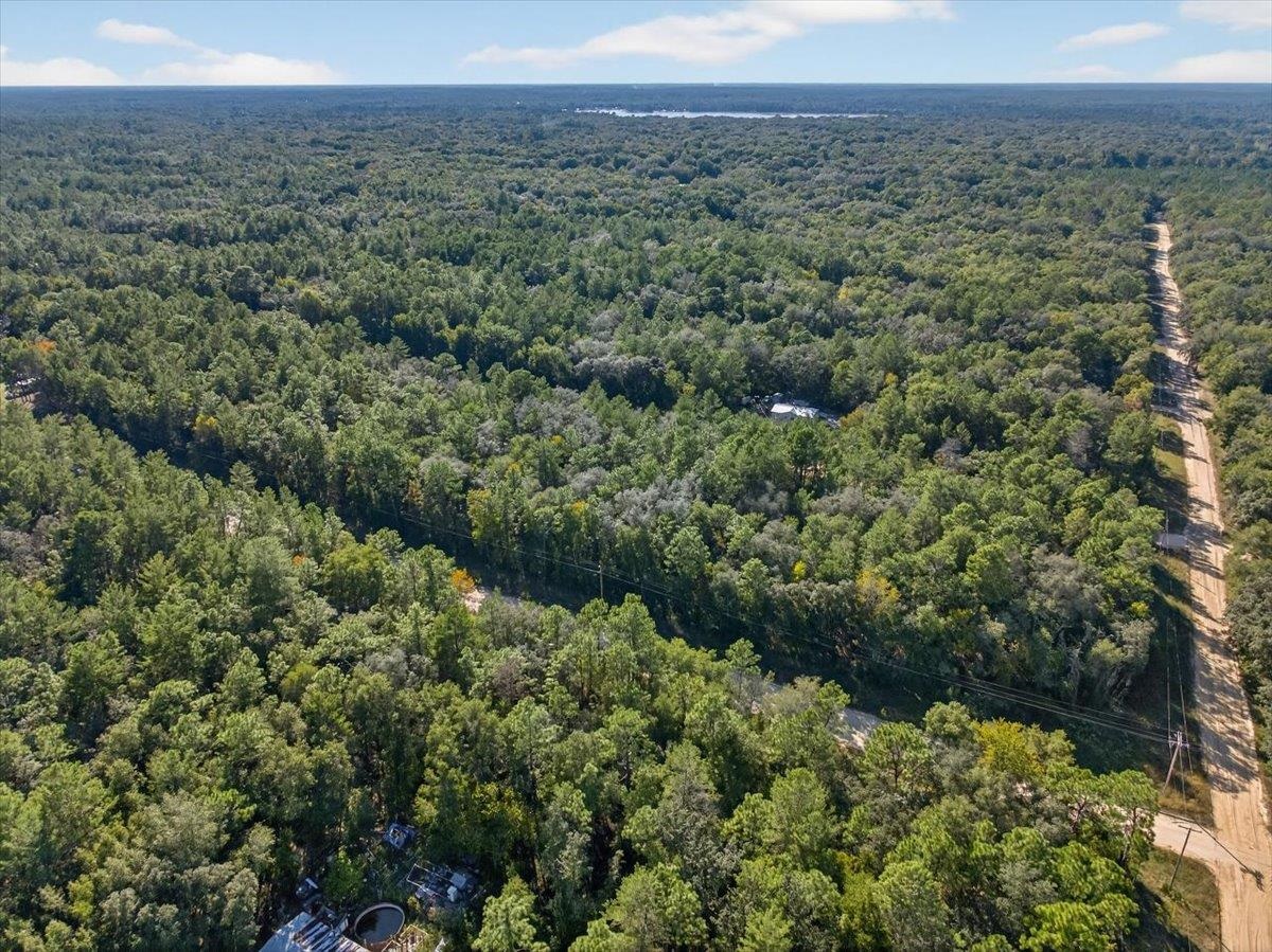 Usina Avenue Interlachen, FL 32148 - Photo 30 of 34 Drone / aerial view of a forest