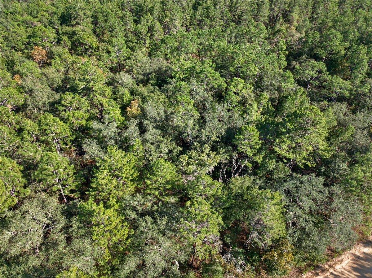 Usina Avenue Interlachen, FL 32148 - Photo 3 of 34 Bird's eye view