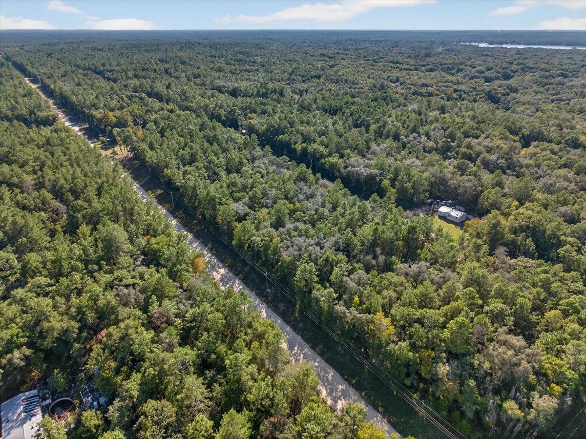 Usina Avenue Interlachen, FL 32148 - Photo 31 of 34 Bird's eye view of a forest