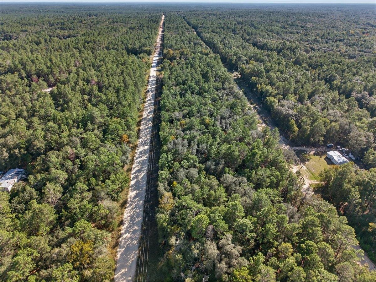 Usina Avenue Interlachen, FL 32148 - Photo 32 of 34 View of property location with a forest