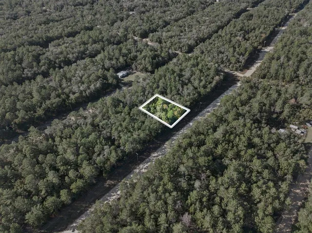 $20,000 | Usina Avenue, Interlachen, FL 32148