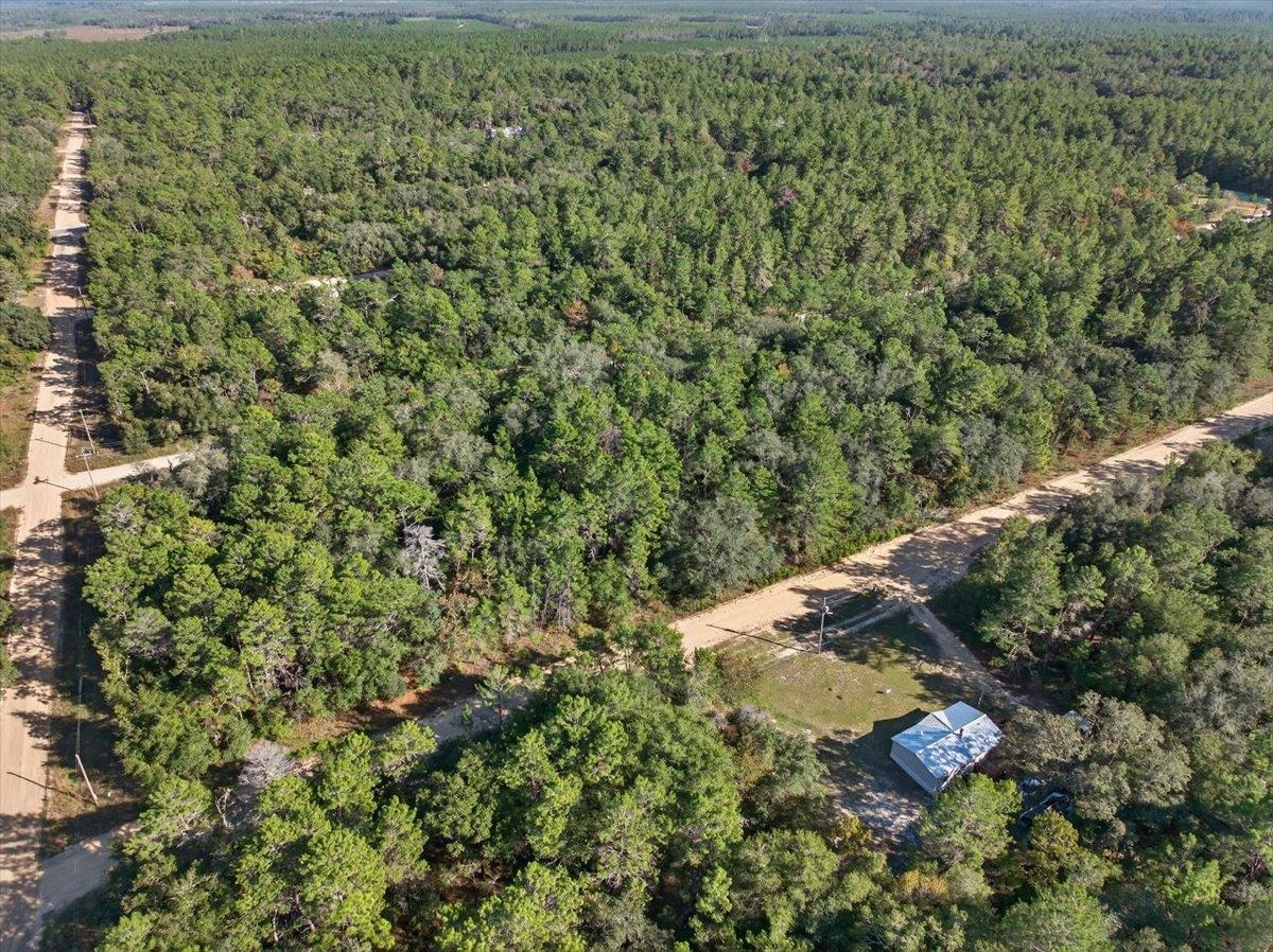 Usina Avenue Interlachen, FL 32148 - Photo 34 of 34 Aerial view of property's location with a forest