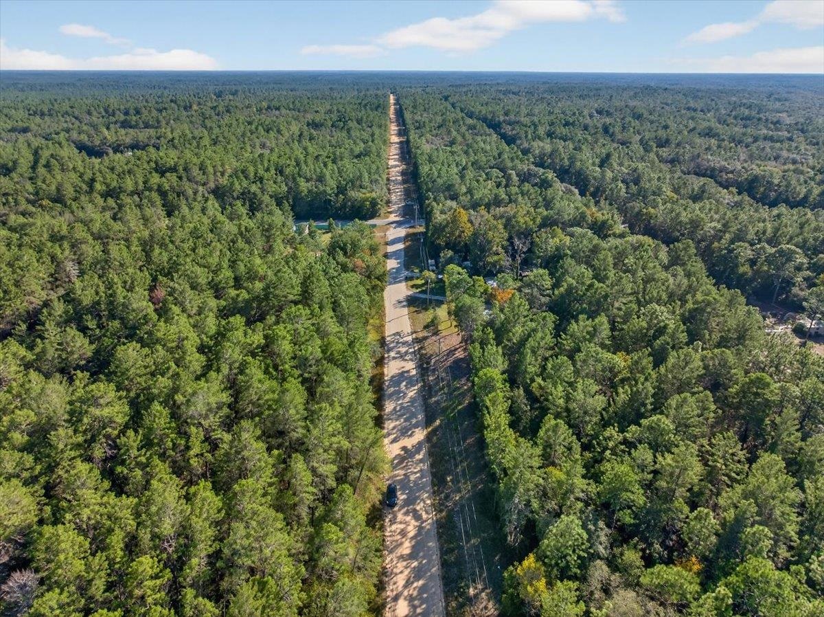 Usina Avenue Interlachen, FL 32148 - Photo 5 of 34 Aerial view of property and surrounding area with a heavily wooded area