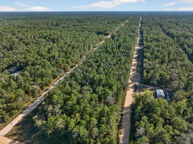 an aerial view of a residential houses covered in trees
